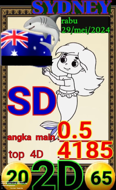 SYAIR SDY VIP